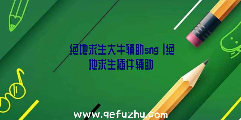 「绝地求生大牛辅助sng」|绝地求生插件辅助